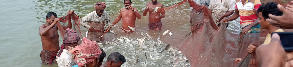 Fishing scene of various fishermen co-operative societies