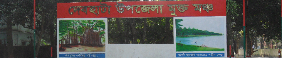 দেবহাটা উপজেলা