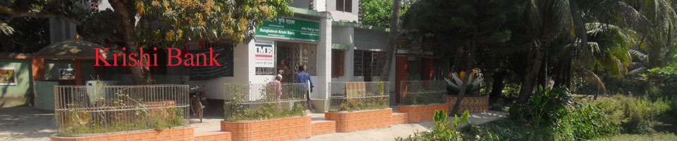 Bangladesh Krishi Bank-Dakhin Mirzapur-Magura